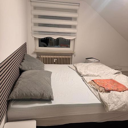 Am Auepark Apartment Kassel Luaran gambar