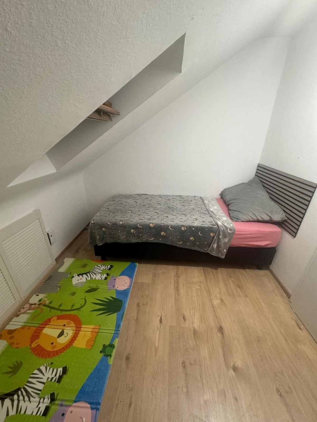 Am Auepark Apartment Kassel Luaran gambar
